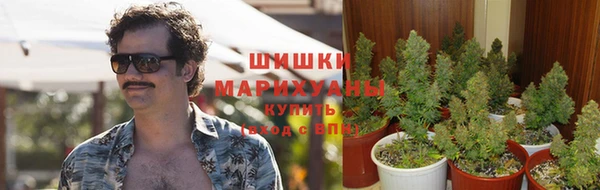 бошки Абаза