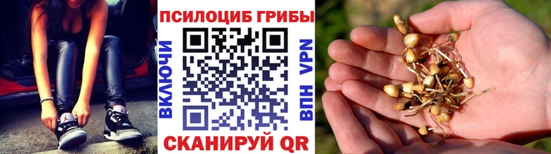 Галлюциногенные грибы мицелий  Агрыз 